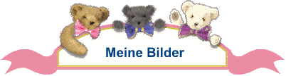 Meine Bilder